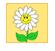 Une fleur juste pour toi